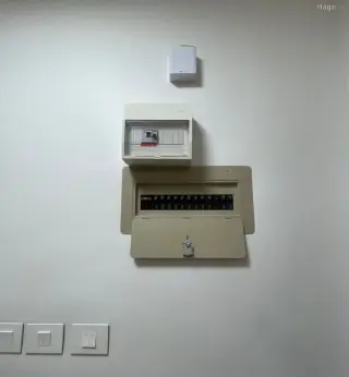الصورة 6 من 12