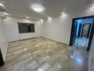 الصورة 11 من 12
