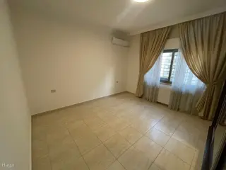 الصورة 8 من 12