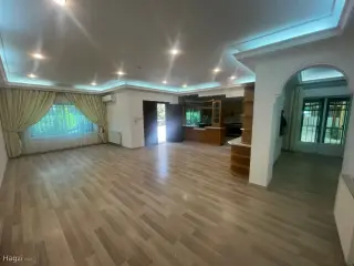 الصورة 11 من 12