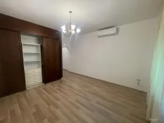 الصورة 4 من 12