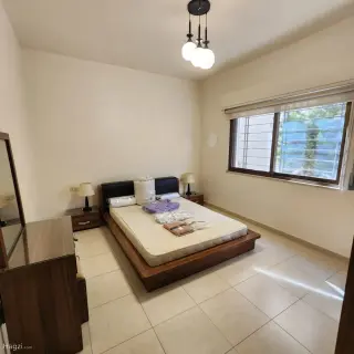 الصورة 11 من 12