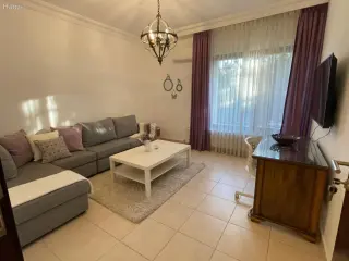 الصورة 11 من 12