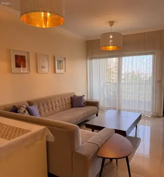 الصورة 11 من 12