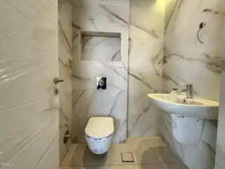 الصورة 8 من 8