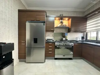 الصورة 6 من 12