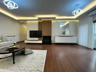 الصورة 8 من 12