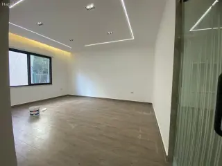الصورة 8 من 12
