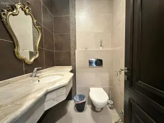 الصورة 5 من 12