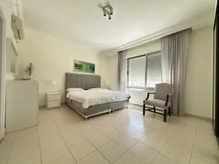 الصورة 11 من 12