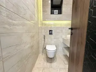 الصورة 7 من 11