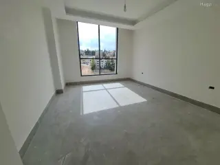 الصورة 4 من 8