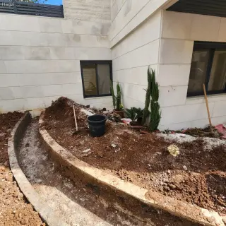 الصورة 7 من 12
