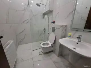 الصورة 12 من 12