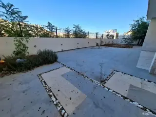الصورة 6 من 12