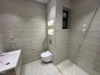 الصورة 7 من 12