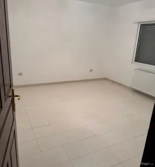 الصورة 8 من 12