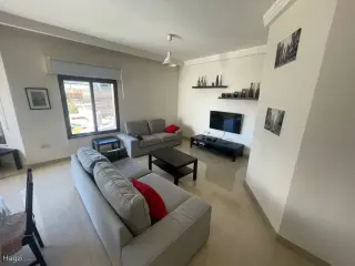 الصورة 8 من 9