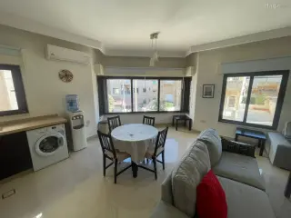 الصورة 9 من 9