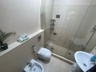 الصورة 2 من 9