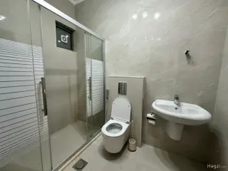 الصورة 8 من 8