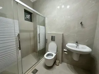 الصورة 8 من 8