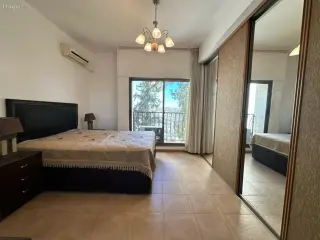 الصورة 5 من 8