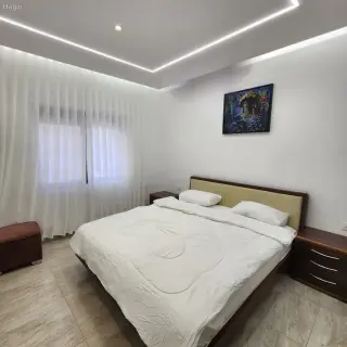 الصورة 4 من 12