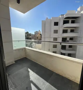 الصورة 8 من 12