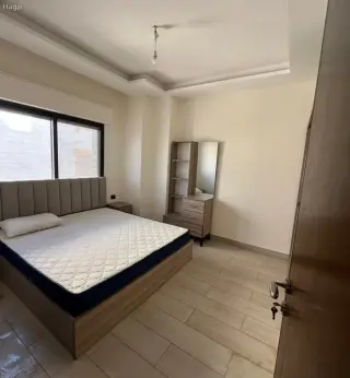 الصورة 7 من 12