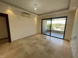 الصورة 10 من 12