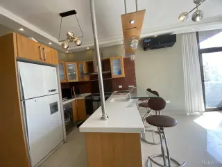 الصورة 7 من 12