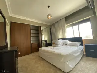 الصورة 12 من 12