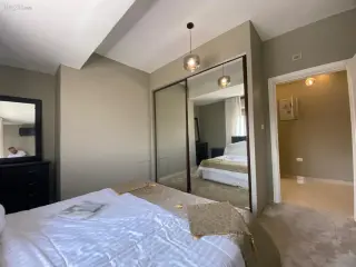 الصورة 10 من 12