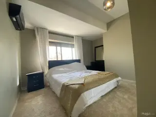 الصورة 9 من 12