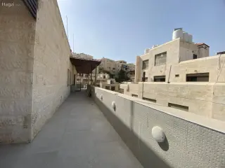 الصورة 12 من 12