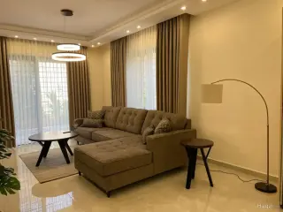 الصورة 12 من 12