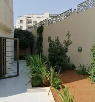 الصورة 1 من 12