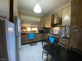 الصورة 8 من 12