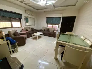 الصورة 5 من 12
