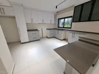الصورة 1 من 12