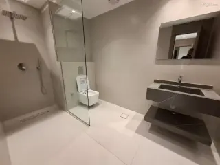 الصورة 9 من 12