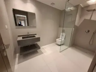 الصورة 4 من 12
