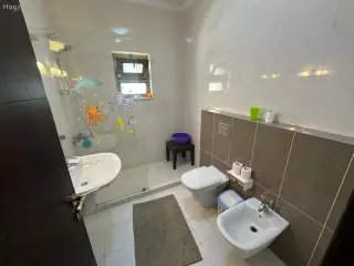 الصورة 8 من 12