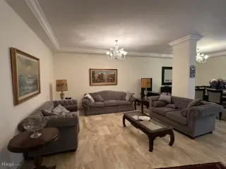الصورة 4 من 12