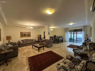 الصورة 3 من 12