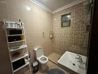 الصورة 10 من 12