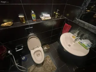 الصورة 6 من 12