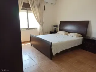 الصورة 12 من 12
