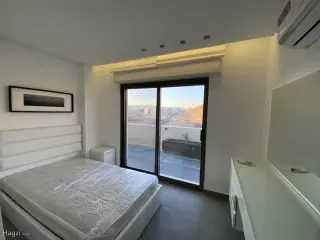الصورة 10 من 12